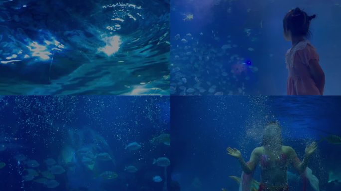 海洋馆 海底世界 海底乐园