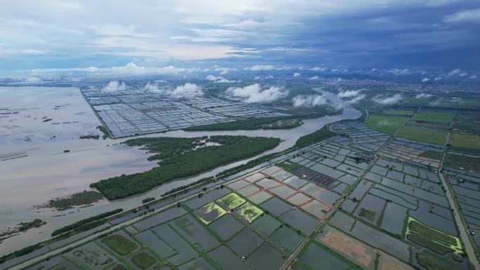 生蚝基地海鲜养殖