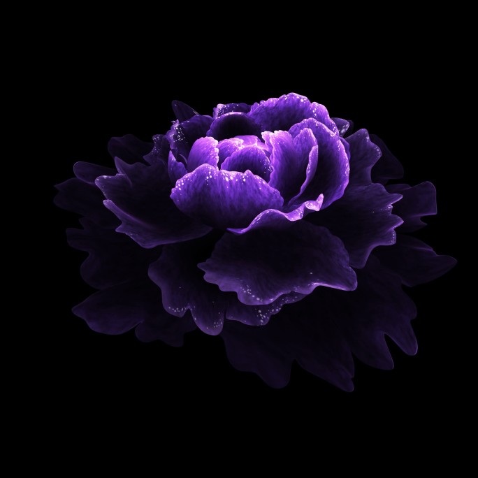 3S通道素材-紫色牡丹花