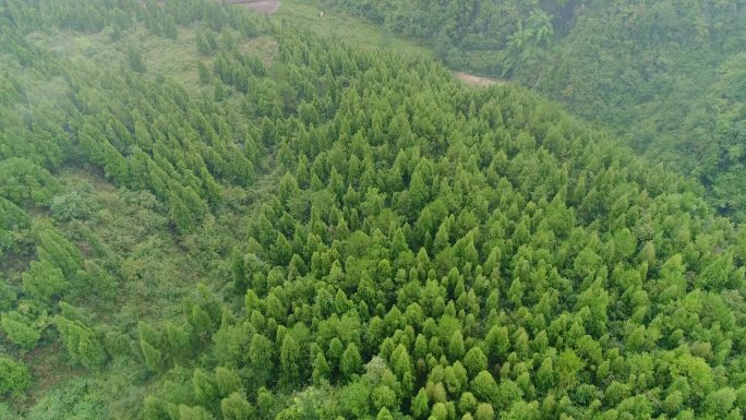 四川绿水青山航拍大自然山水风景森林云雾