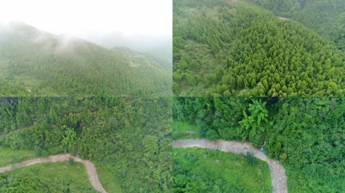 四川绿水青山航拍大自然山水风景森林云雾