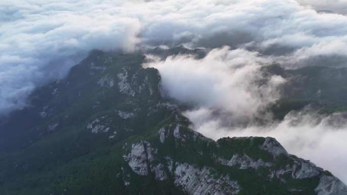 4K超清山峰云海丹东凤凰山森林生态