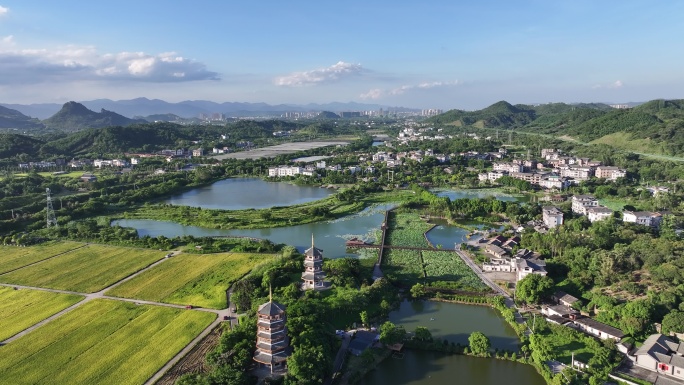 水稻秋收 美丽乡村 乡村振兴 五彩田园