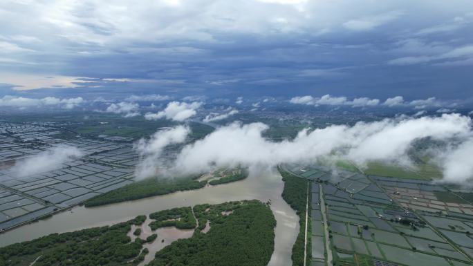 生蚝基地海上养殖基地