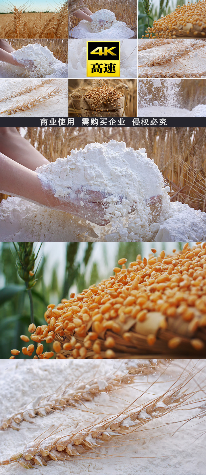 面粉面小麦面食灰面面条面点面包和面 面粉