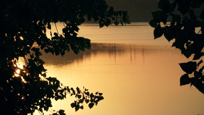 太极湖夕阳湖面落日