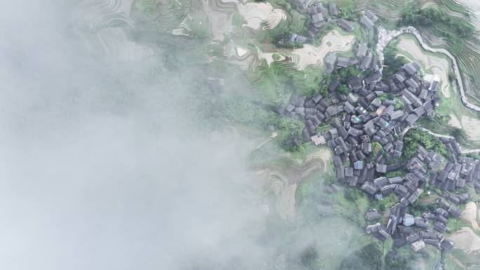 夏天桂林龙脊梯田上空的云雾缭绕