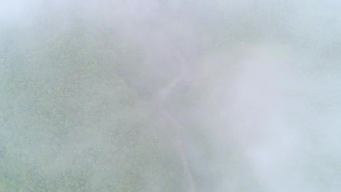 四川森林绿水青山航拍山水风景森林云雾