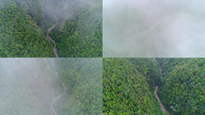 四川森林绿水青山航拍山水风景森林云雾