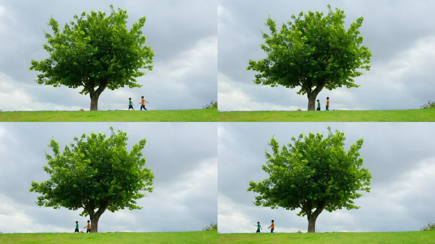草坪上的一棵树 两个小孩走在乡间小路