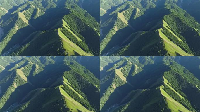 4K正版-航拍新疆山脉森林自然景观03