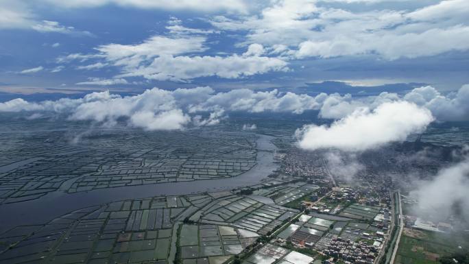 生蚝基地海鲜养殖