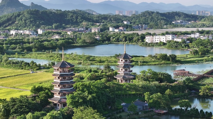 水稻秋收 美丽乡村 乡村振兴 五彩田园