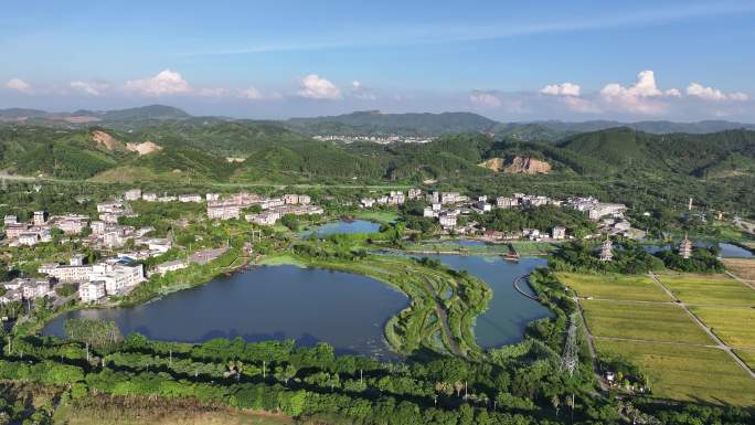 水稻秋收 美丽乡村 乡村振兴 五彩田园