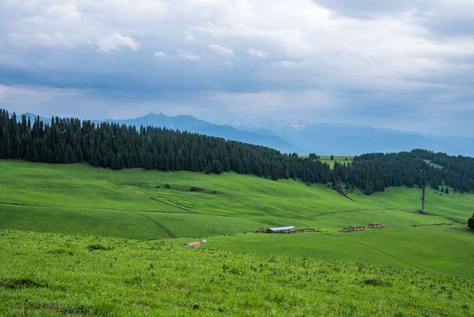 新疆喀拉峻草原延时地拍