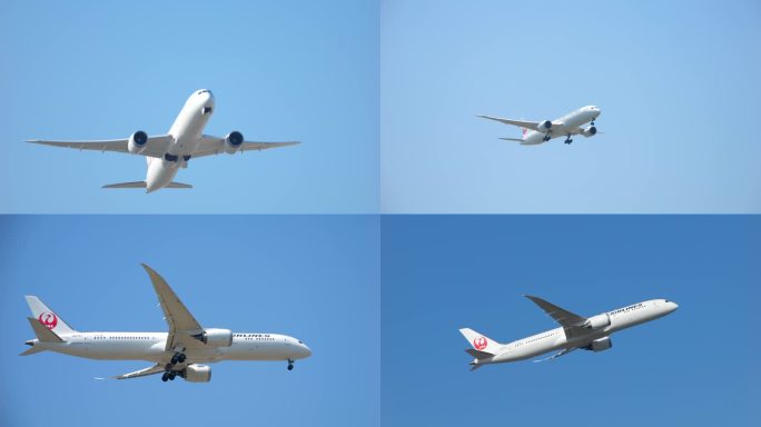 日本航空 波音787