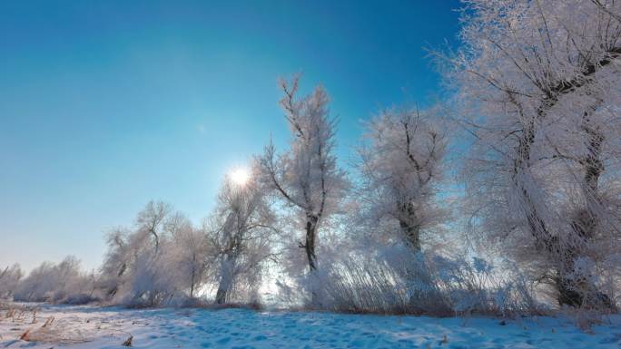 雾凇岛 冰雪 雪乡 松花江