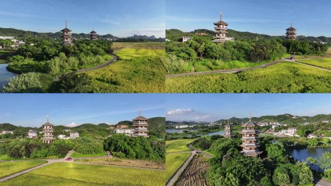 水稻秋收 美丽乡村 乡村振兴 五彩田园