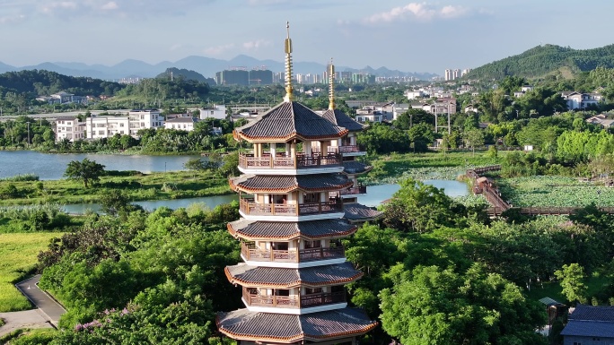 水稻秋收 美丽乡村 乡村振兴 五彩田园