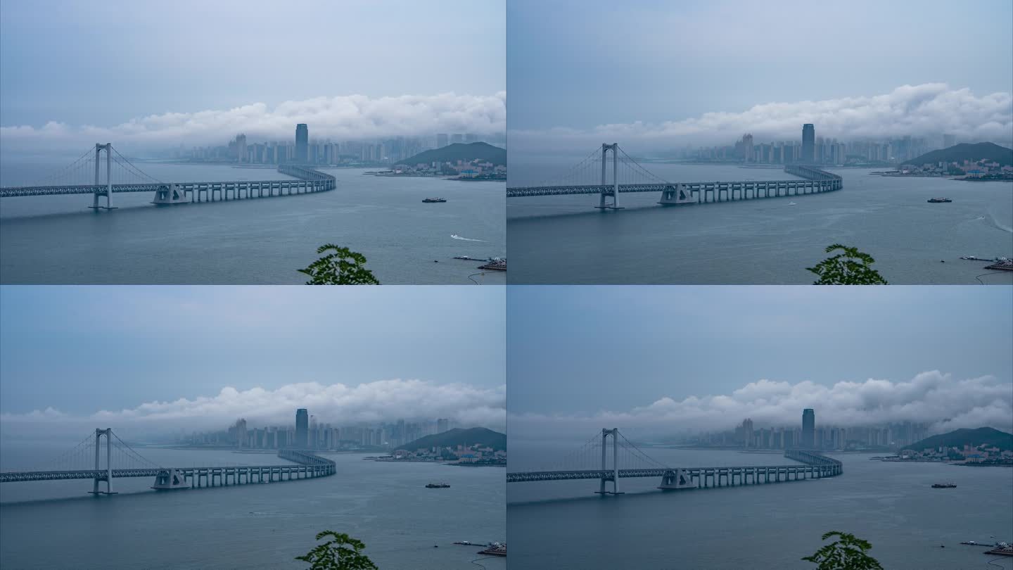 莲花山拍星海跨海大桥延时平流雾