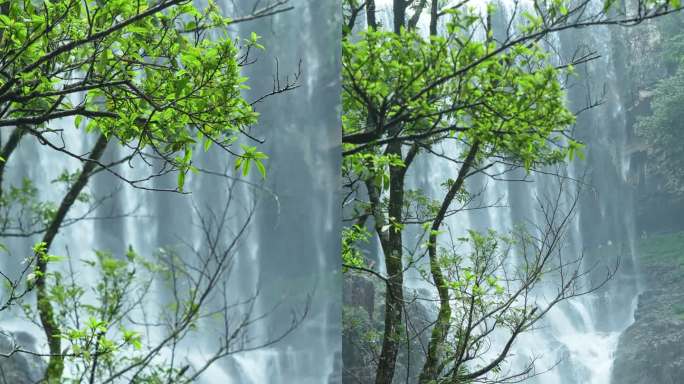 [4k竖屏】树枝瀑布空镜