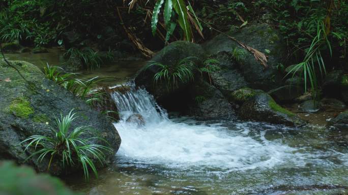 泉水溪流清澈小溪流水