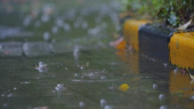 梅雨季节