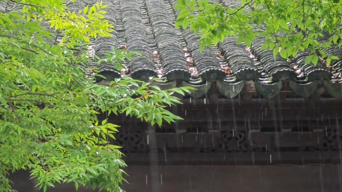 4K苏州园林可园夏季雨景