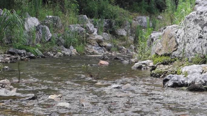 山泉溪流小溪水户外徒步大自然天然