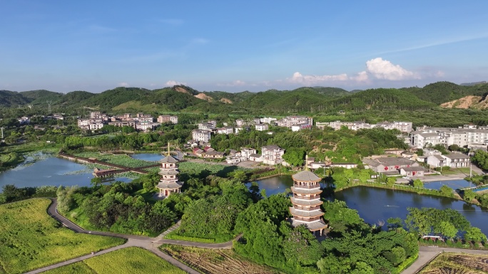 水稻秋收 美丽乡村 乡村振兴 五彩田园