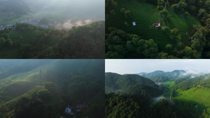 杭州西湖龙井产地梅家坞茶园晨曦云雾航拍