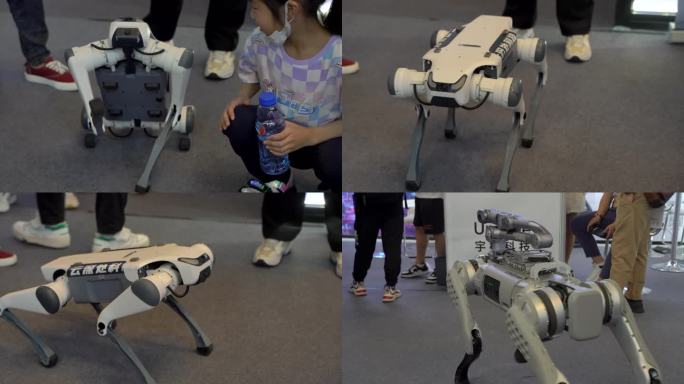上海2023世界人工智能大会机器狗