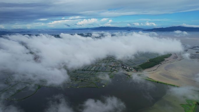 生蚝基地海鲜养殖