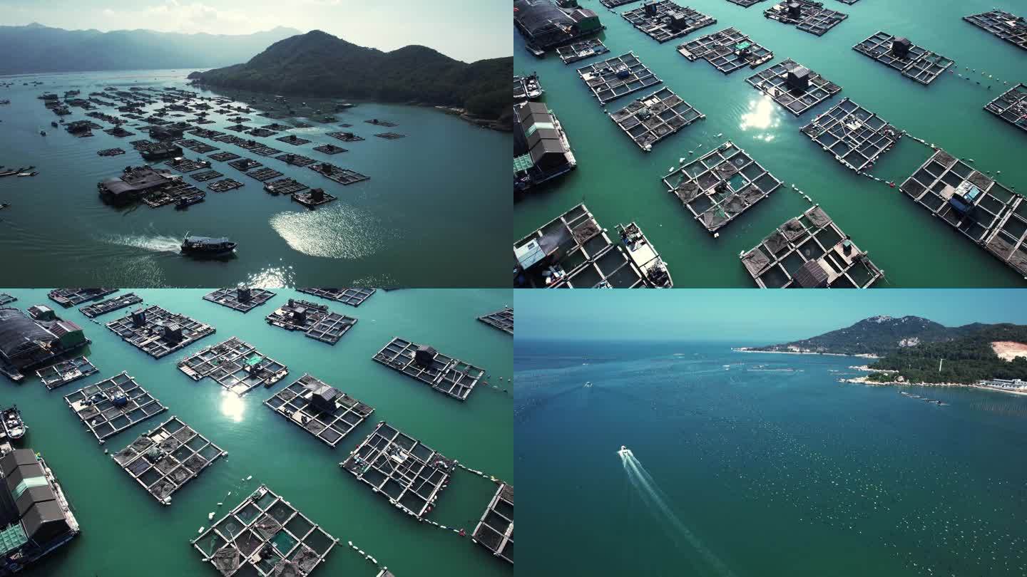 海水养殖4K航拍