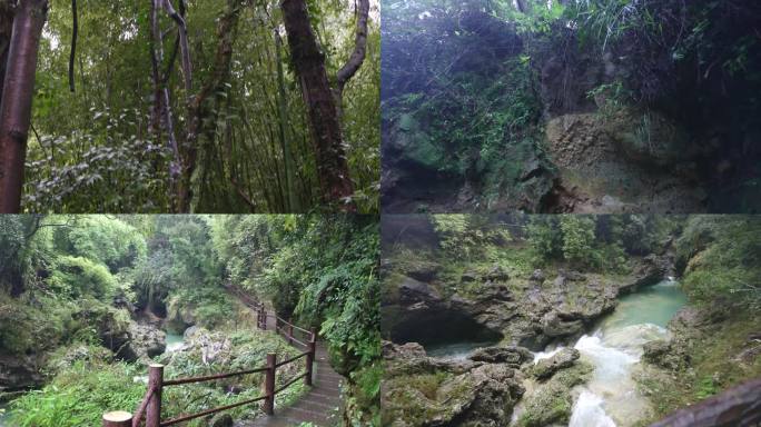 四川渠县森林与湿地公园水流植被氧吧大自然