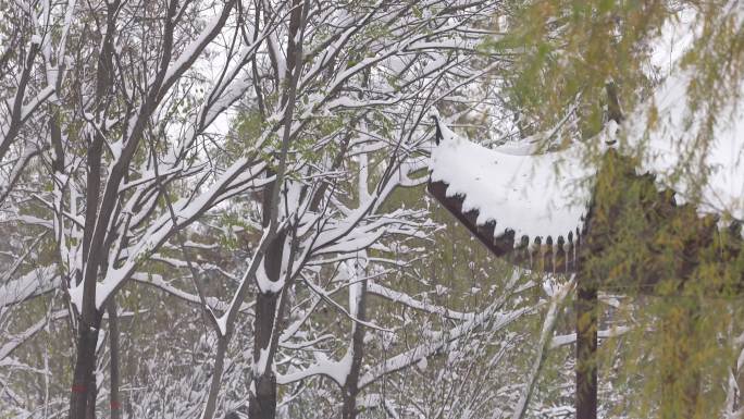 雪景 亭子 树木