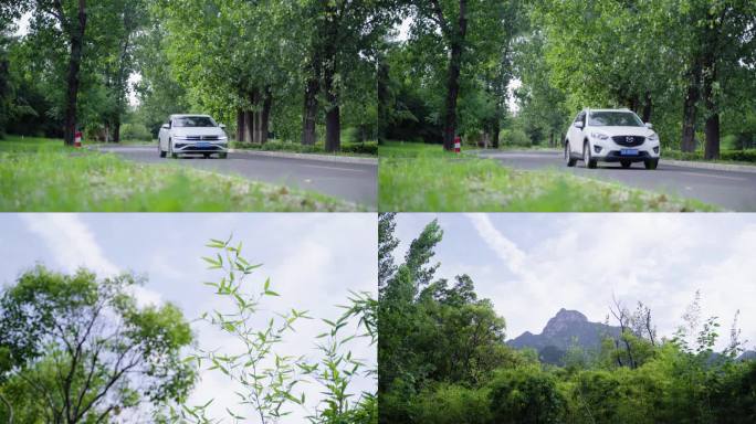 竹林小道唯美夏日风景