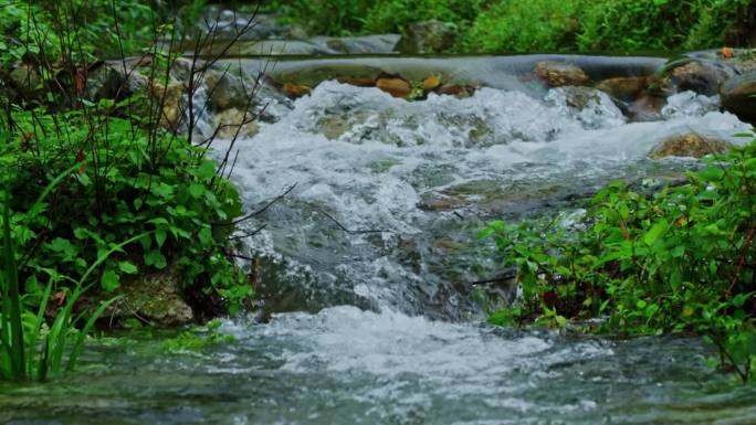 2K溪流小河水流清澈森林泉水流动