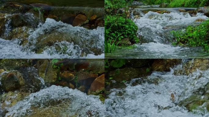 2K溪流小河水流清澈森林泉水流动