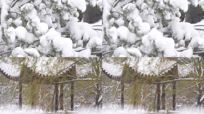 雪景 亭子 树木