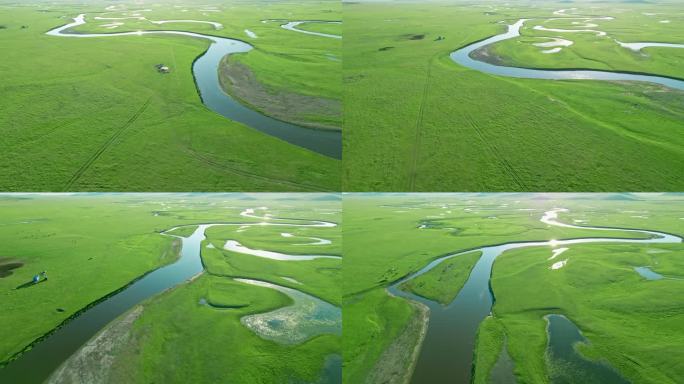 内蒙古呼伦贝尔大草原湿地马群草原自然风光