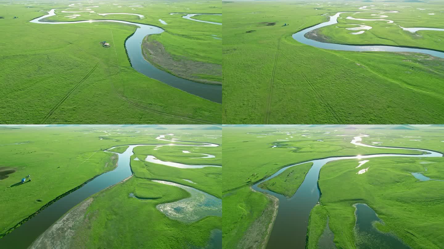 内蒙古呼伦贝尔大草原湿地马群草原自然风光