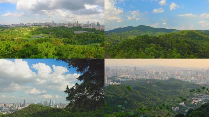 白云山上观云起