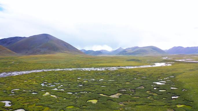 生态园 绿色 植物床 温床 氧吧 仙境