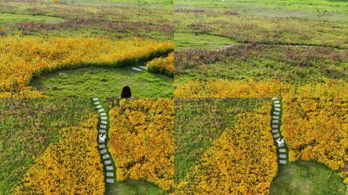 白色裙子女生 走在花海