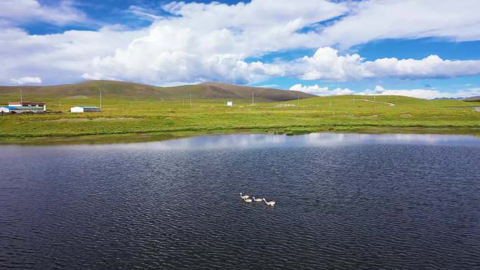 氧吧 仙境 生态湿地 自然 草原风光