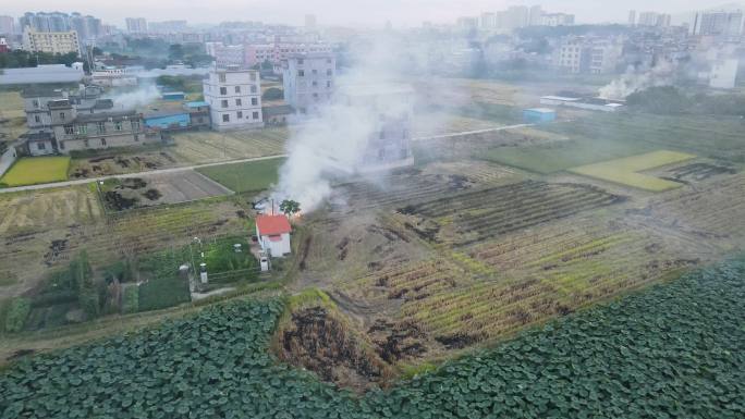 4k视频傍晚农民燃烧田地里的秸秆