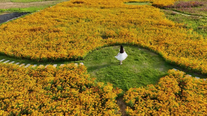 白色裙子女生 走在花海