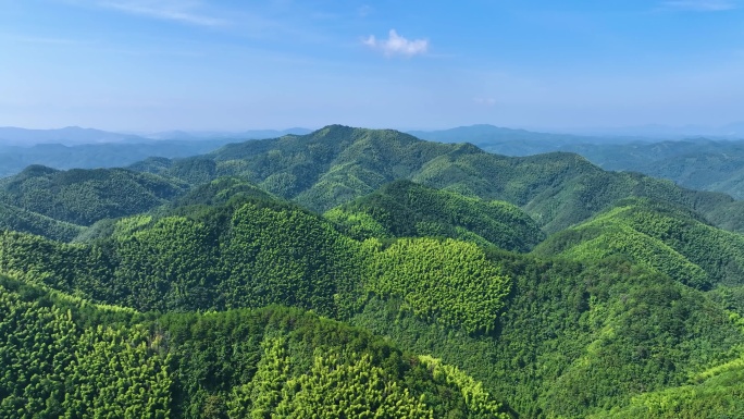 大山竹海航拍