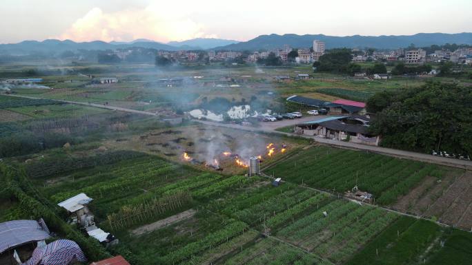 4k视频傍晚农民燃烧田地里的秸秆